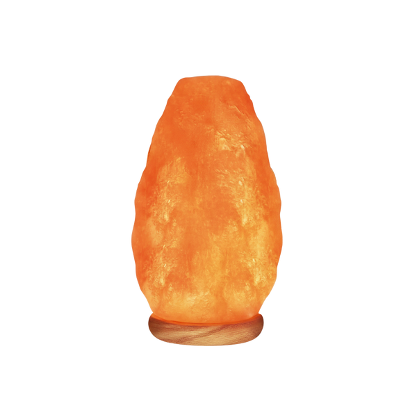 Himalayan Glow Salt Bowl Lamp